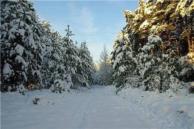 Epic喜加一：《Dark and Darker - 传奇身份》免费领