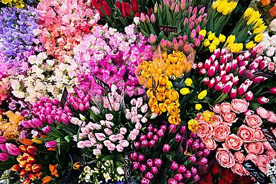 3DM速报：Steam在线人数破纪录 山寨PS5走红国外